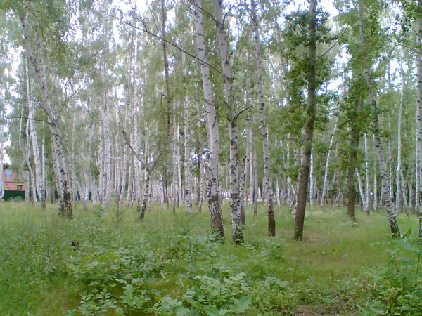Жайнагуль Туребаева