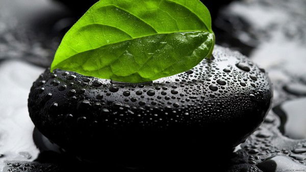 Андрей Черняев