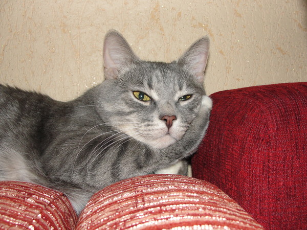 Сергей Зайцев