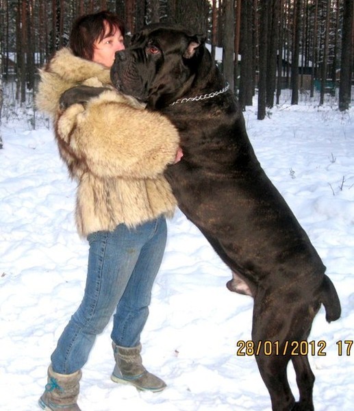 Оксана Легаева