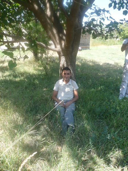Vardan Armenin