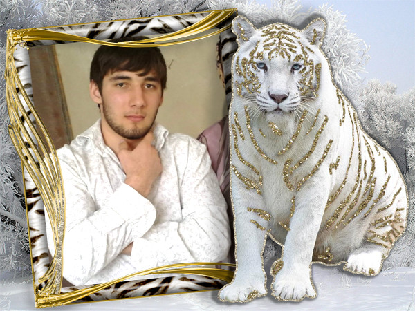 Muhammad Alhacov