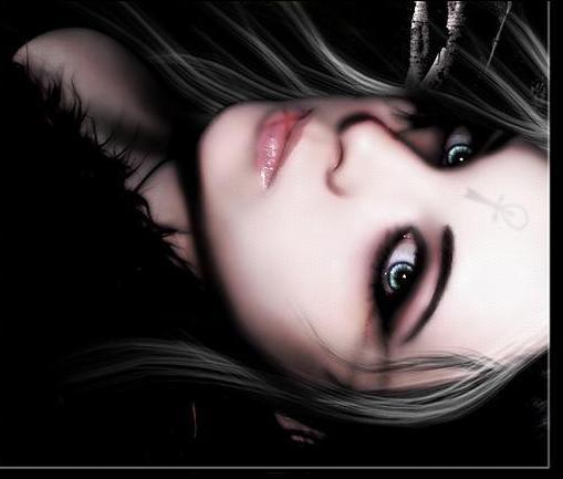 Dark Light )