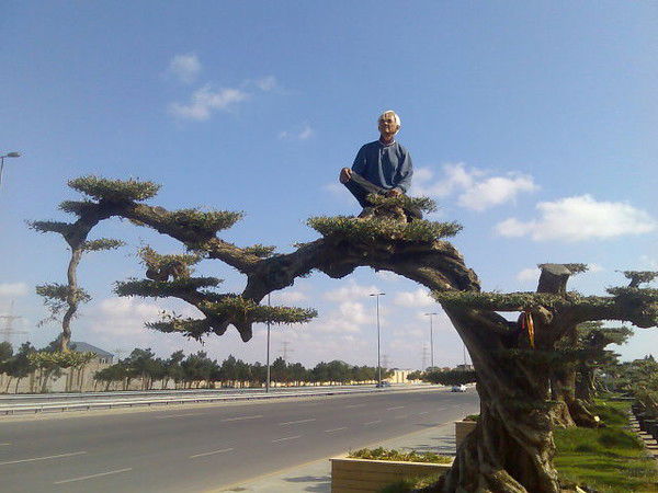 Владимир Волков