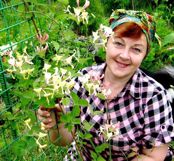 Елена Ильичева