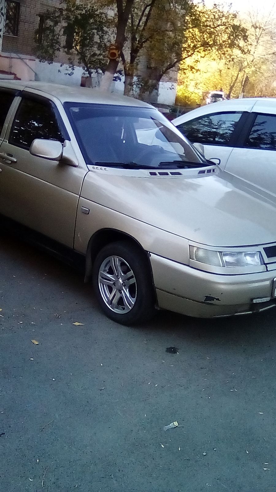 Вова Камарецкий