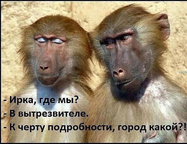 Вован-Шаман