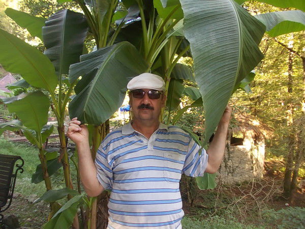 Сергей Андреев