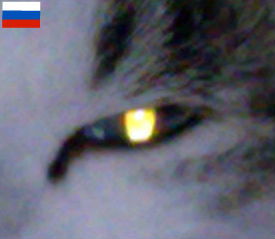 Юрий Сорокин