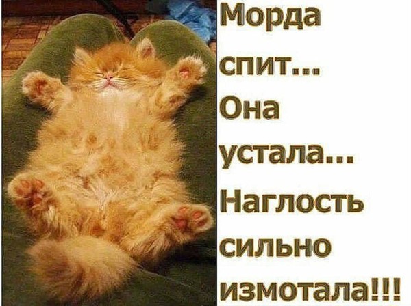Александр Трофимов
