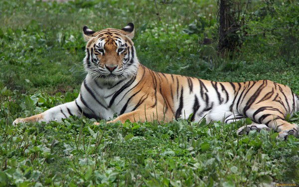 Сергей Хрущёв