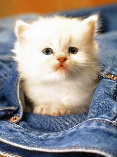 Валентина Жигалковская