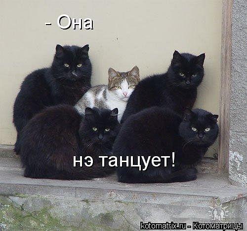 Sekret Zxc