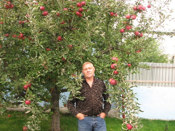 Саша Пуздря