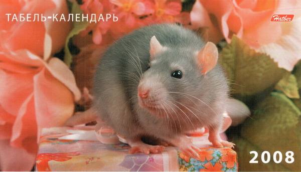 Нина Ерофеева