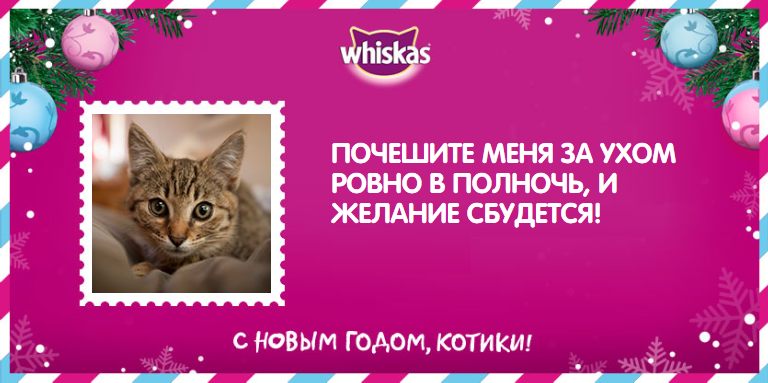 Ирина Конахина