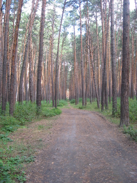Алия Асылгареева
