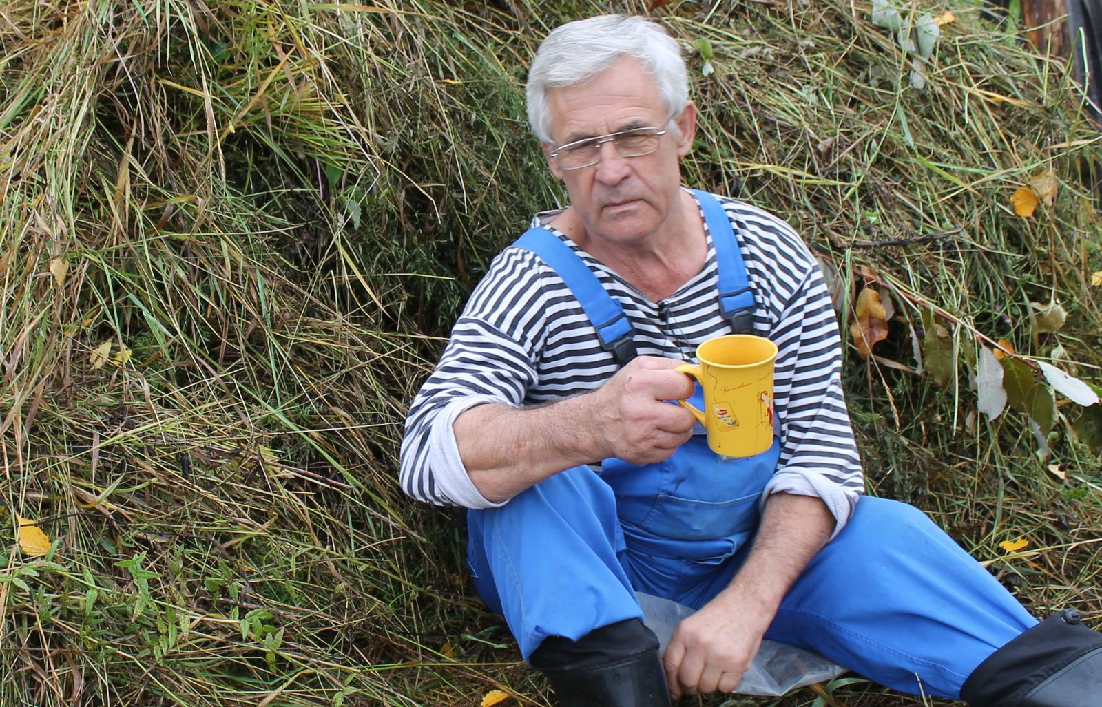 Николай Чавкин