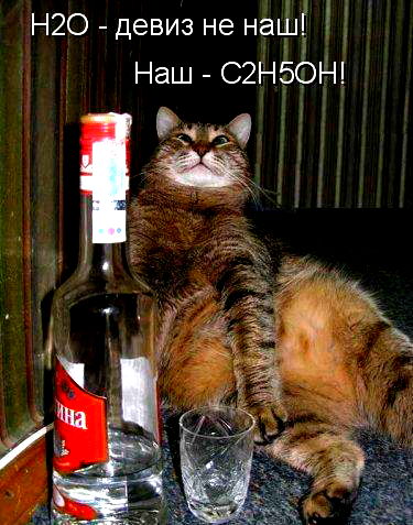 Андрей Тареев