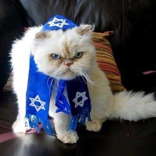 Meir