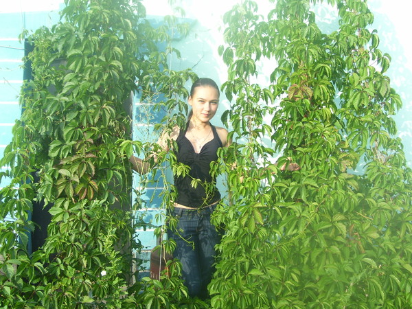 Елена Горбатенко