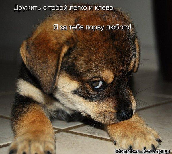Анатолий Рудницкий