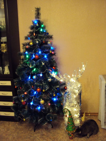 Пётр Варкентин