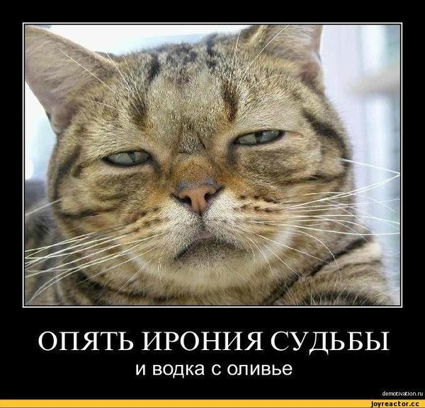 Андрей Олейник