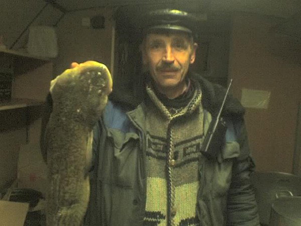 Виталий Качур