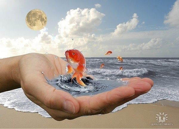 Людмила Исаева