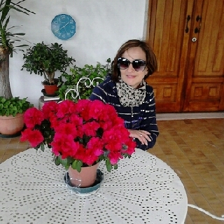 Rosanna Bloshko