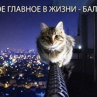 Ксения Кошкина