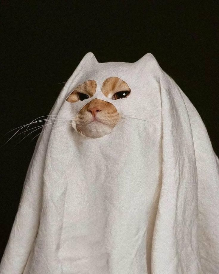 Лесная Хтонь