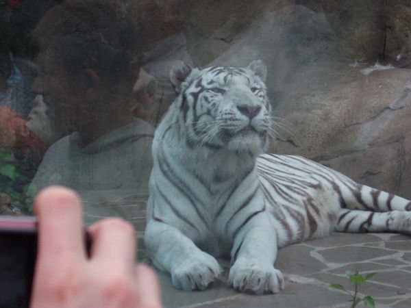 Екатерина Мельникова