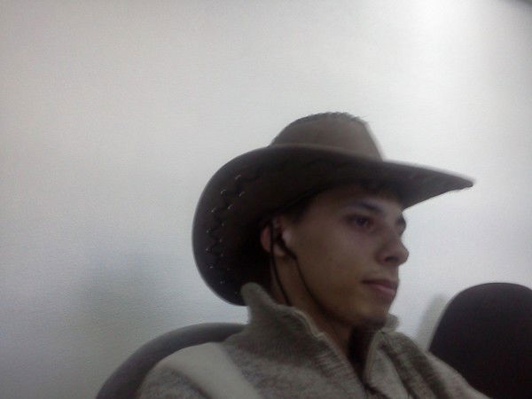 Дмитрий Перфильев