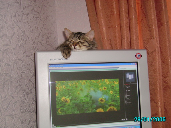 Вадим Кибалов