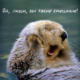 М Hojayew