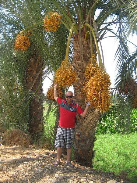Moamen Mahrouse
