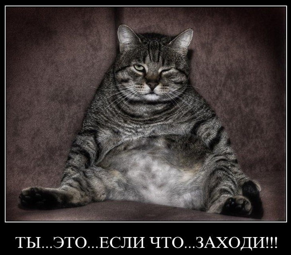 Алексей Чуб