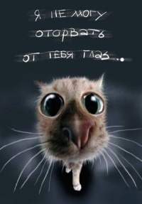 Владимир Грубась