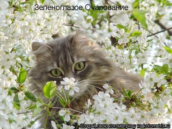 Люда Бойцун :)