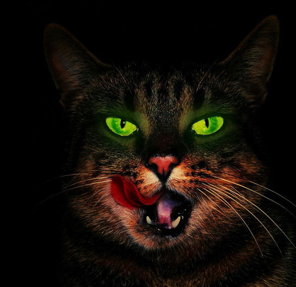 Ольга Лыженкова