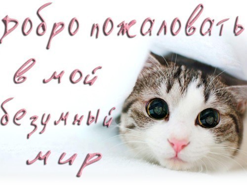 Оксана Осипова