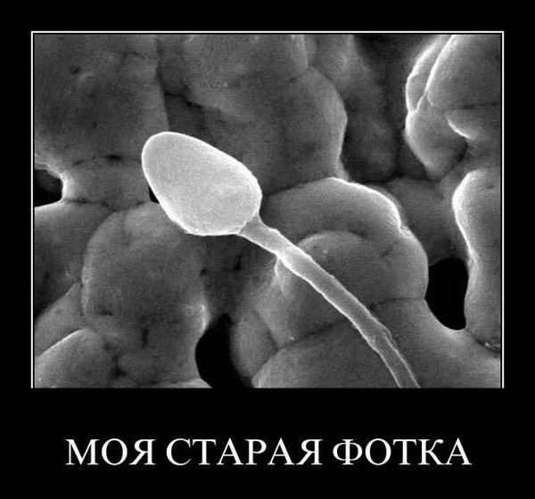 Денис Свободин