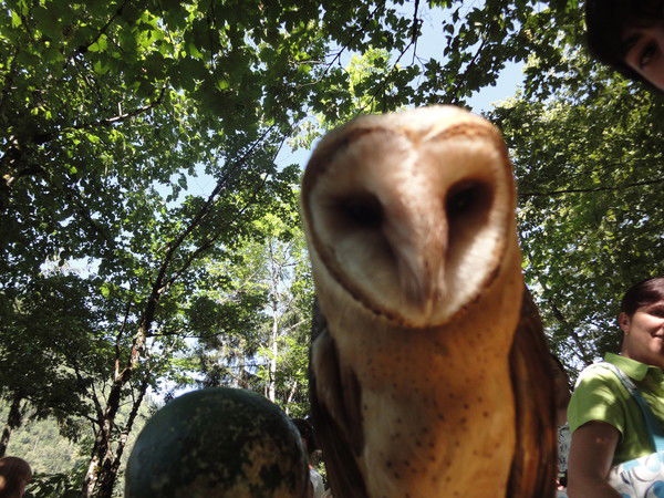 Михаил Целуйко