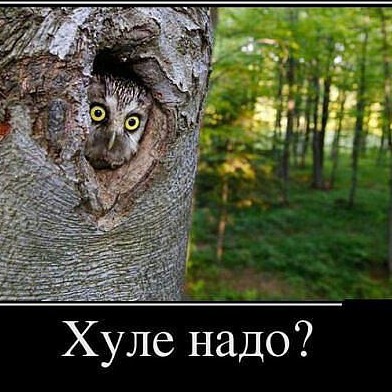 Владимир Васильев