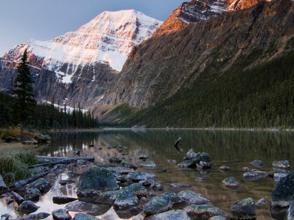 Бахтияр Жанибек