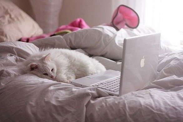 Ирина Хованская