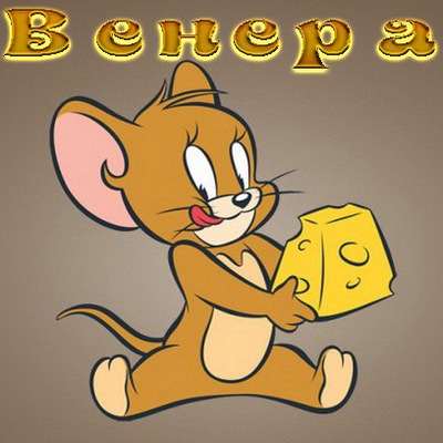 Венера Бердиева