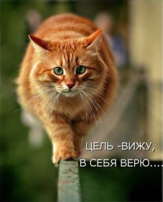 Галина Панкова